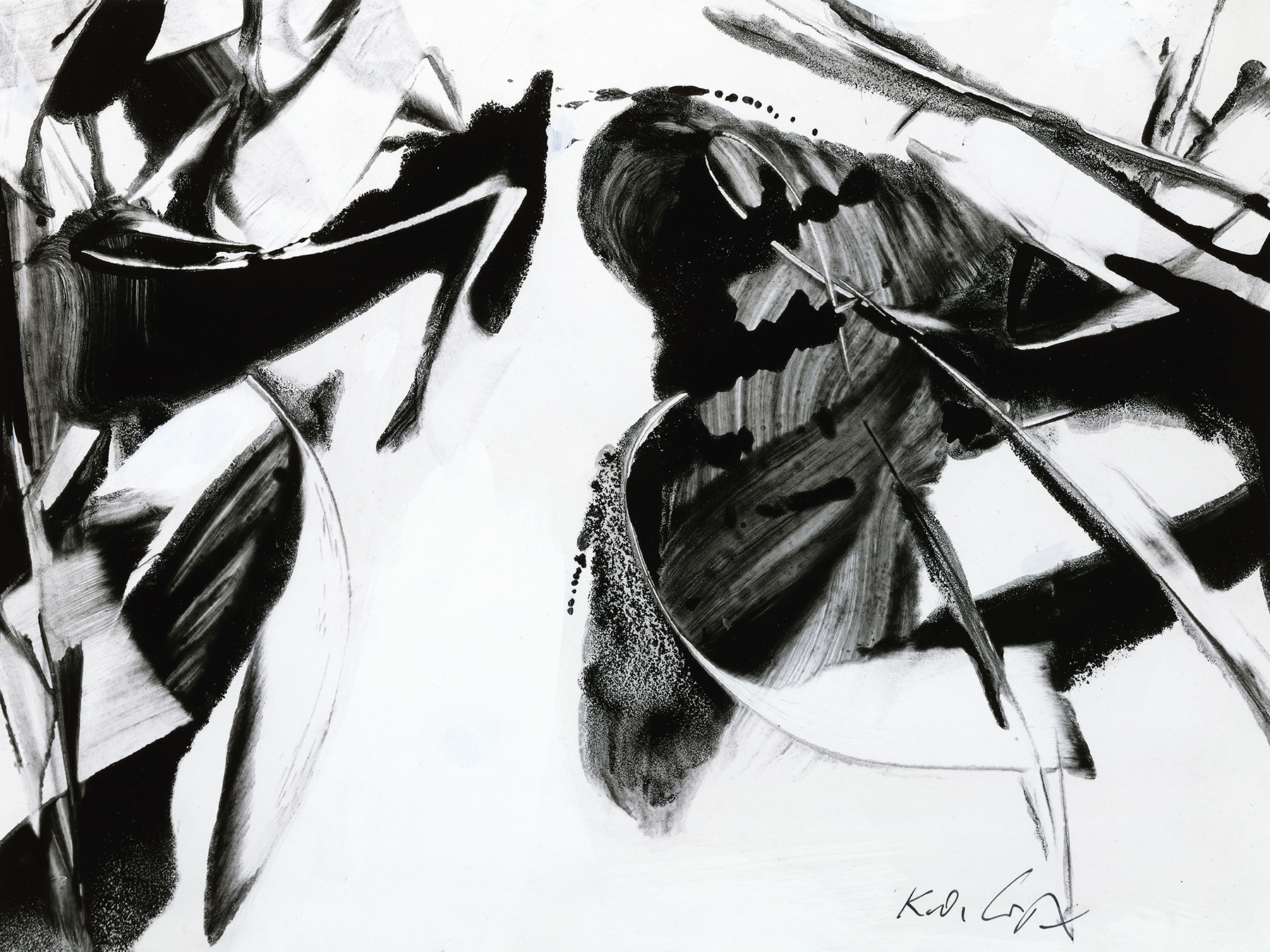 Sternsprung H 1992 22×29,6cm Ekta K5O3B1