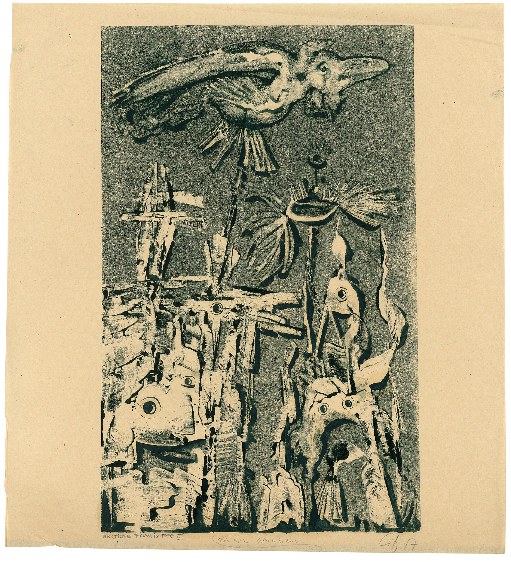 ARKTISCHE FAUNAISOTOPE III 1947 46,5x43cm Grohmann 13