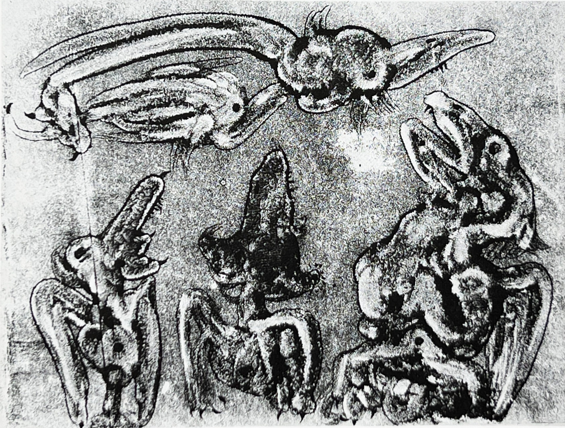 1947 VOGELMETAMORPHOSE ZYKLUS III IMG_0598